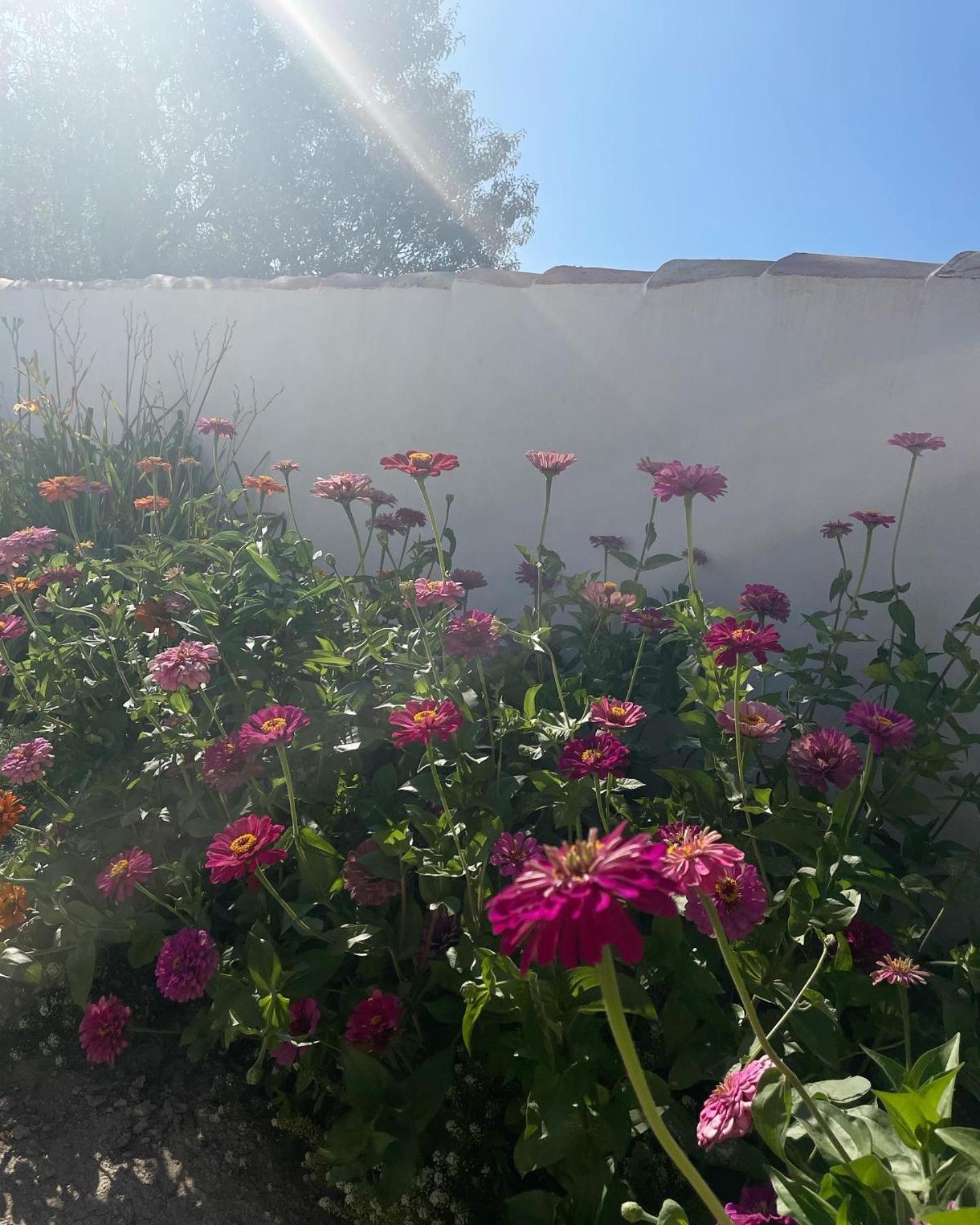 Cortijo El Prado L Villa Castril Ngoại thất bức ảnh